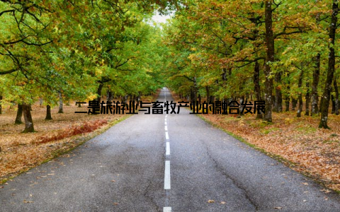 二是旅游业与畜牧产业的融合发展