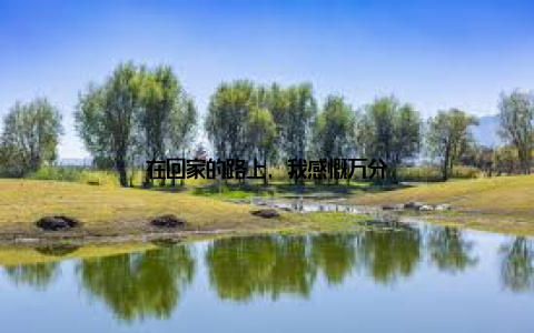 在回家的路上, 我感慨万分