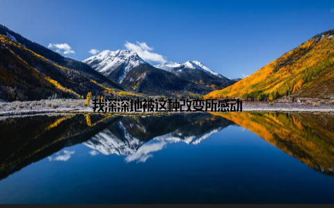 我深深地被这种改变所感动