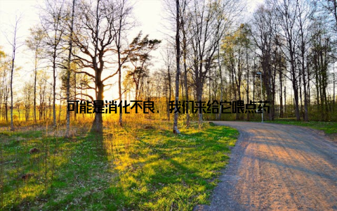 可能是消化不良, 我们来给它喂点药