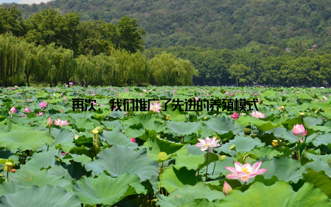 再次, 我们推广了先进的养殖模式