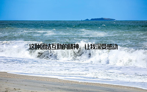 这种团结互助的精神, 让我深受感动