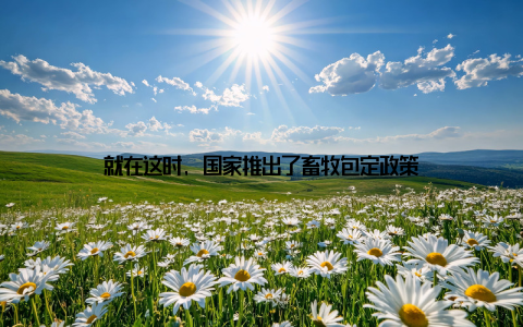 就在这时, 国家推出了畜牧包定政策