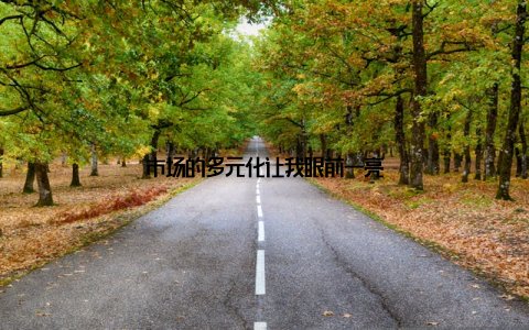 市场的多元化让我眼前一亮