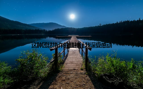 这种团结协作的精神让我深受感动