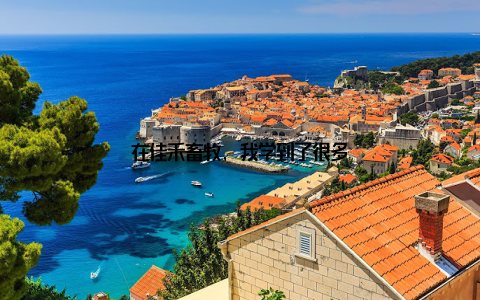 在佳禾畜牧, 我学到了很多