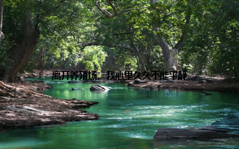 离开养殖场, 我心里久久不能平静