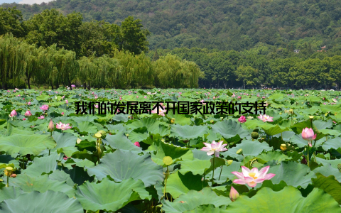 我们的发展离不开国家政策的支持