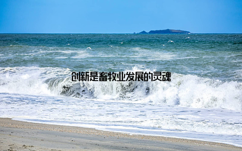 创新是畜牧业发展的灵魂