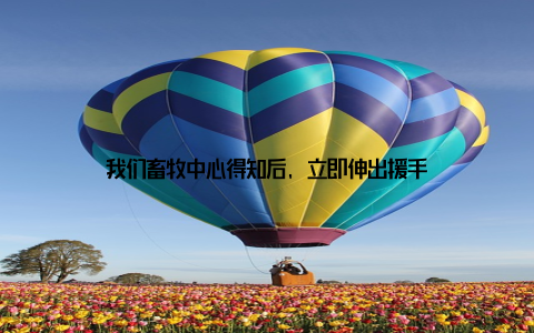 我们畜牧中心得知后, 立即伸出援手