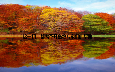 这一切, 都离不开畜牧专家们的帮助