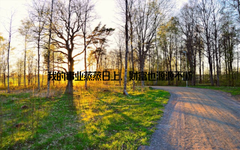 我的事业蒸蒸日上, 财富也源源不断