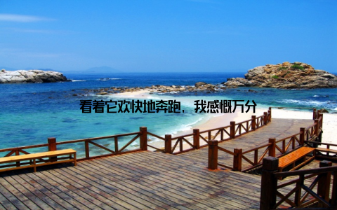 看着它欢快地奔跑, 我感慨万分