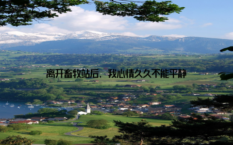 离开畜牧站后, 我心情久久不能平静