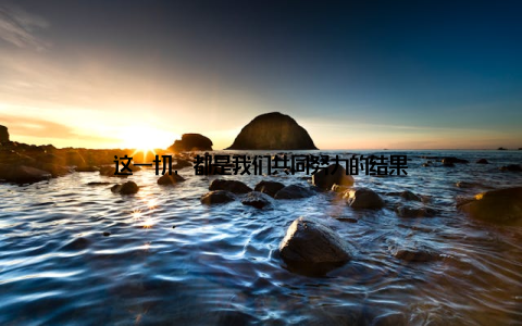 这一切, 都是我们共同努力的结果