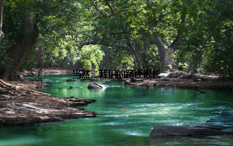 当然, 我们的路还很长