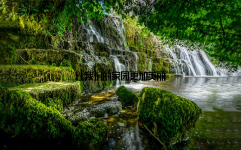 让我们的家园更加美丽