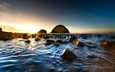 那一刻, 我深深地被这个行业所吸引