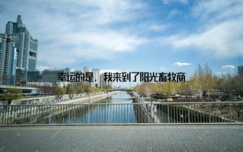 幸运的是, 我来到了阳光畜牧商