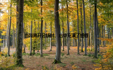 当我离开会场时, 心中充满了感慨