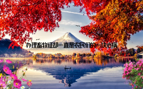 办理畜牧证却一直是农民们的一块心病