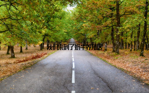 我们来到了奶牛养殖区