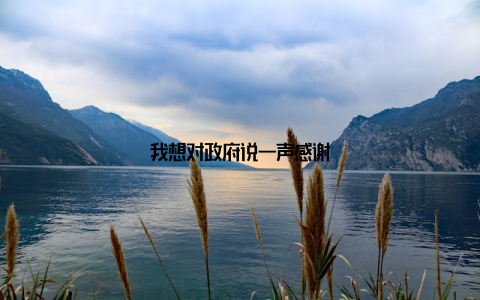 我想对政府说一声感谢