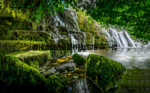 养殖选址选址是养殖成功的第一步