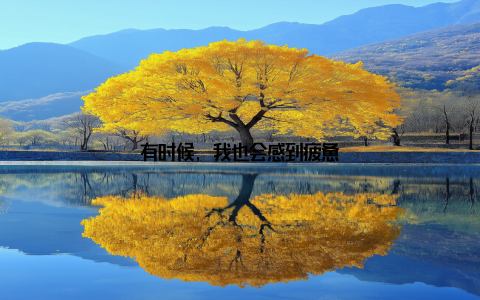 有时候, 我也会感到疲惫