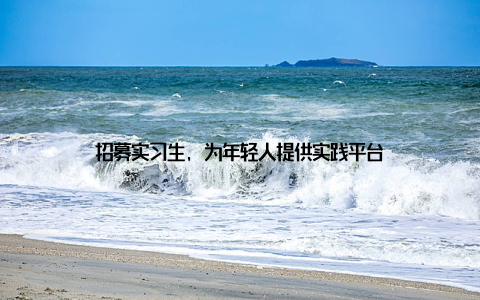 招募实习生, 为年轻人提供实践平台