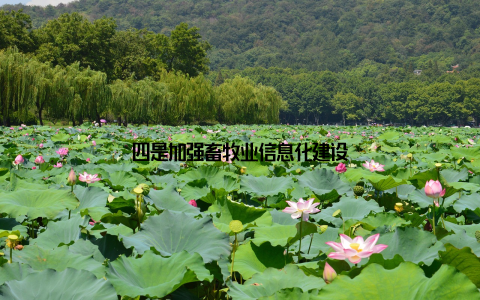 四是加强畜牧业信息化建设