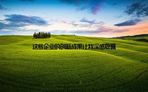 这些企业的创新成果让我深感敬佩