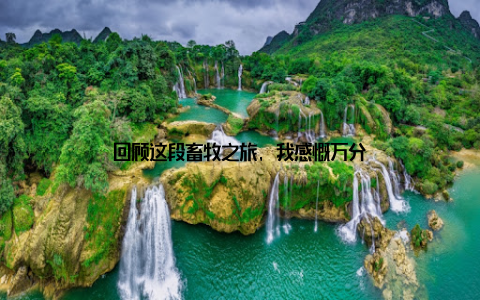 回顾这段畜牧之旅, 我感慨万分