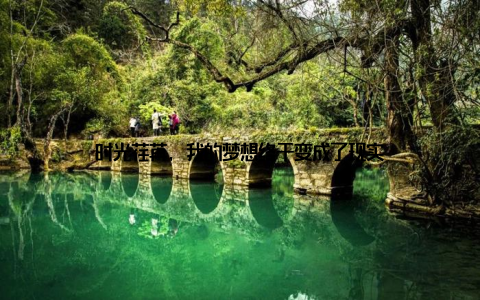 时光荏苒, 我的梦想终于变成了现实