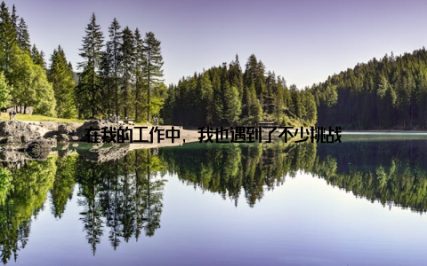 在我的工作中, 我也遇到了不少挑战
