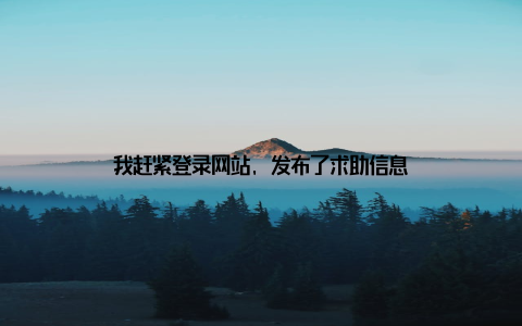 我赶紧登录网站, 发布了求助信息