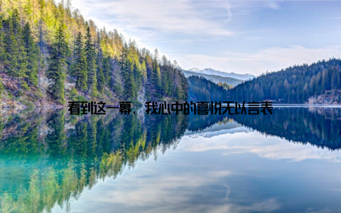 看到这一幕, 我心中的喜悦无以言表