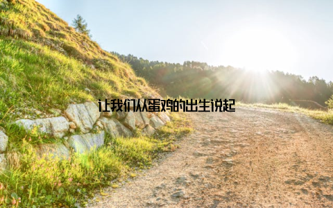 让我们从蛋鸡的出生说起
