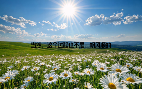 当然, 这个过程也不是一帆风顺的