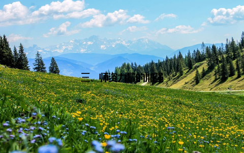 三、师资力量的加强