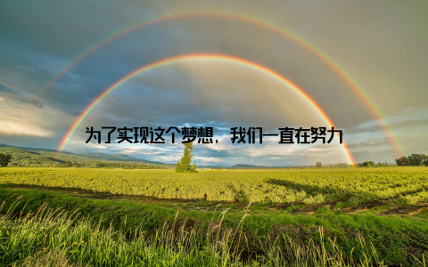 为了实现这个梦想, 我们一直在努力