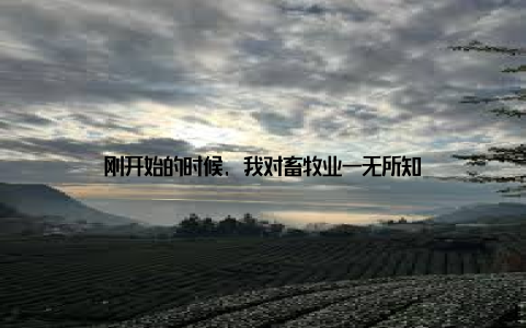 刚开始的时候, 我对畜牧业一无所知