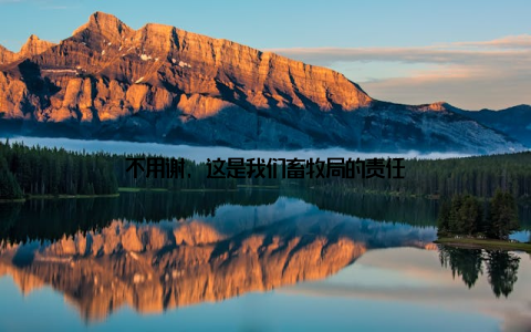 不用谢, 这是我们畜牧局的责任