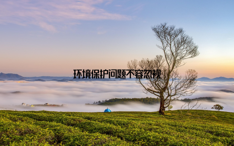 环境保护问题不容忽视