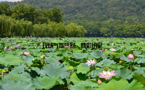 现场气氛热烈, 精彩纷呈