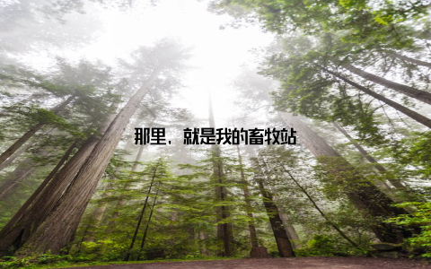 那里, 就是我的畜牧站