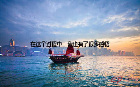 在这个过程中, 我也有了很多感悟