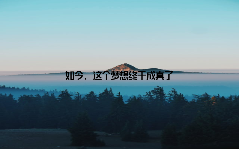 如今, 这个梦想终于成真了