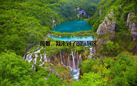 接着, 我来到了国际展区