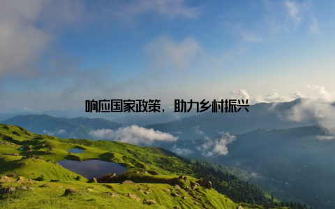 响应国家政策, 助力乡村振兴